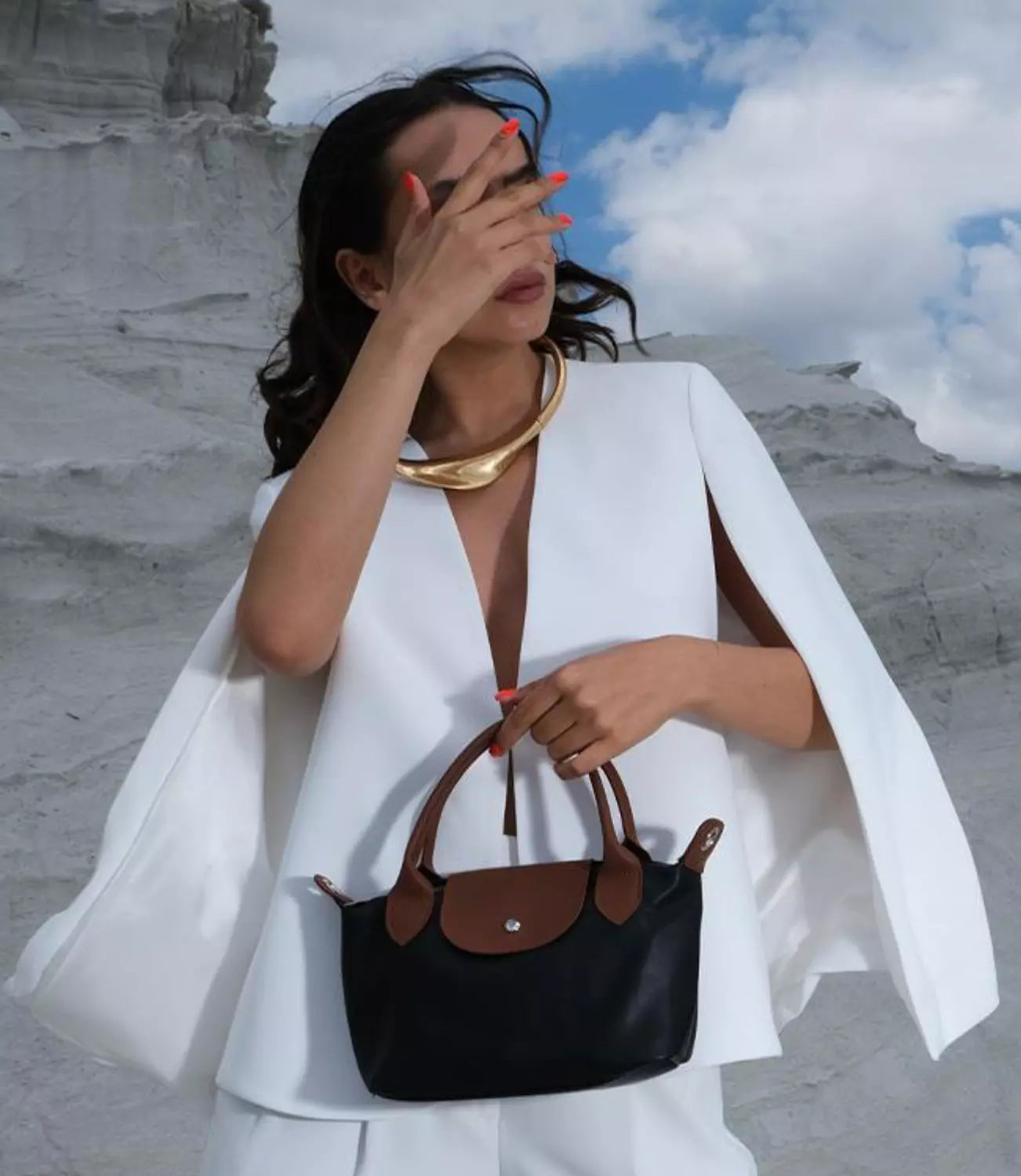 Black brown leather bag