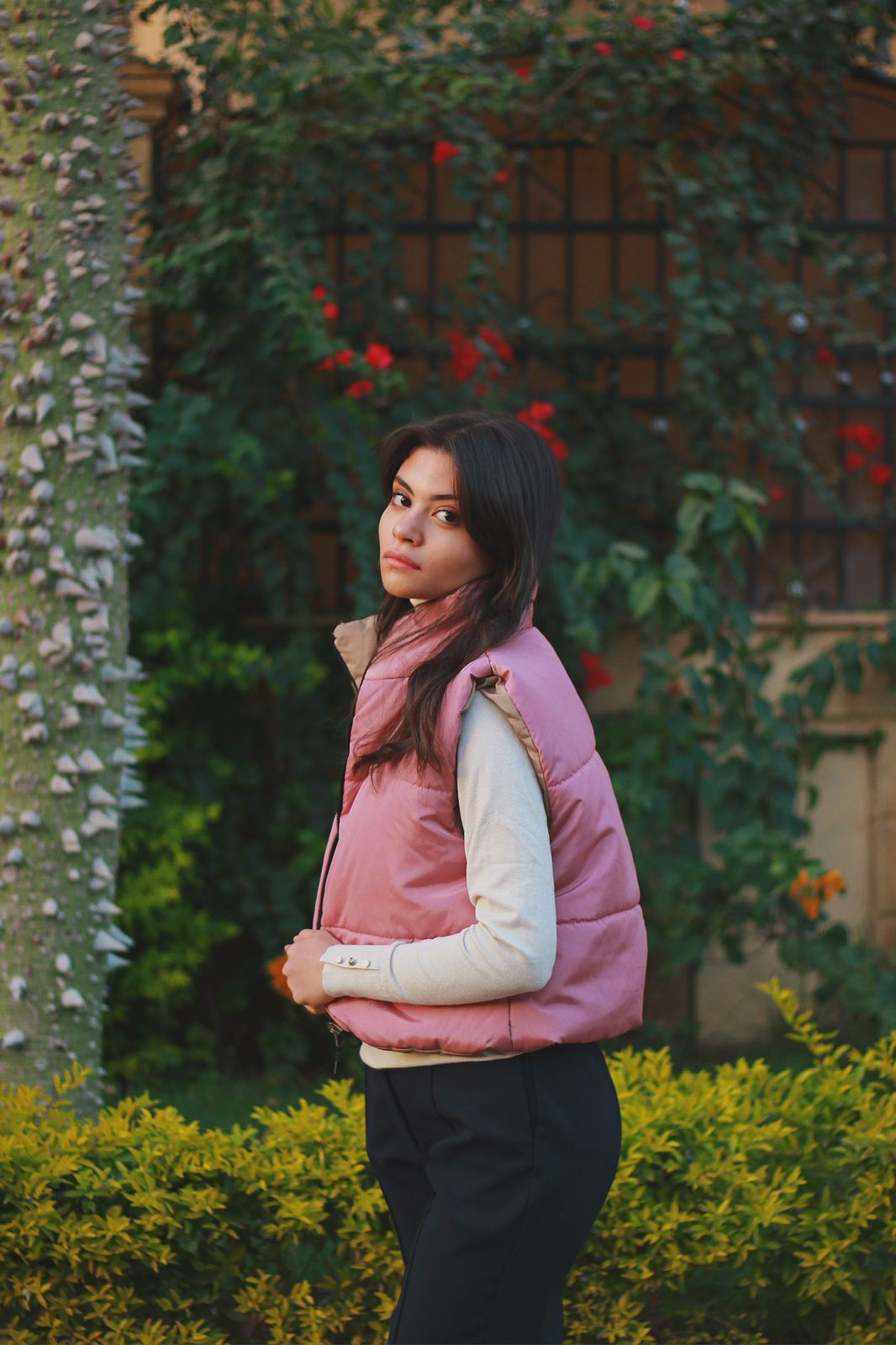 Reversible puffer vest